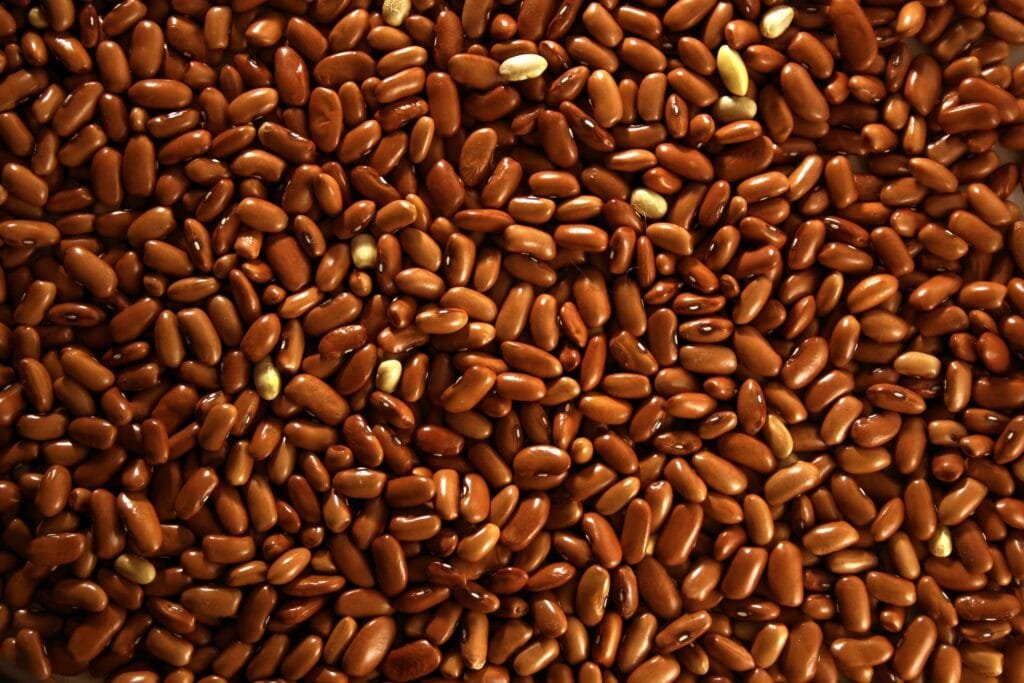 البقول مقابل اللحم الأحمر: هل يؤدي تقليل استهلاك اللحوم إلى تحسين الصحة؟