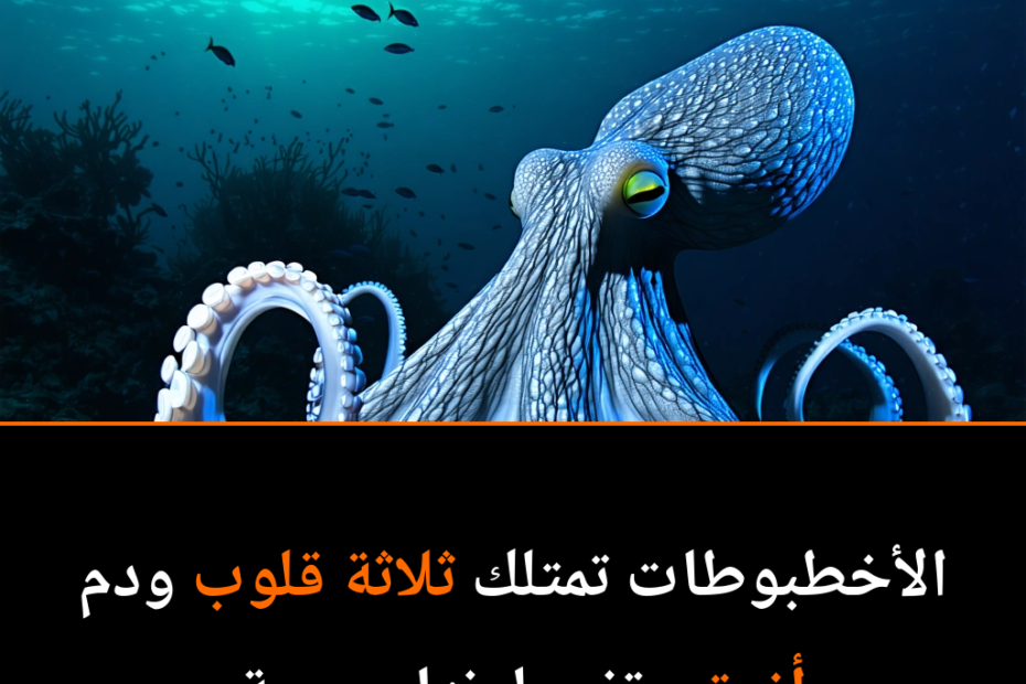 عالم الأخطبوطات: عقول ذكية في مخلوقات بلا عظام