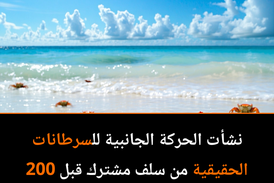 السر الغامض وراء حركة السرطان الجانبية: هل هو مفتاح نجاحها البيئي؟