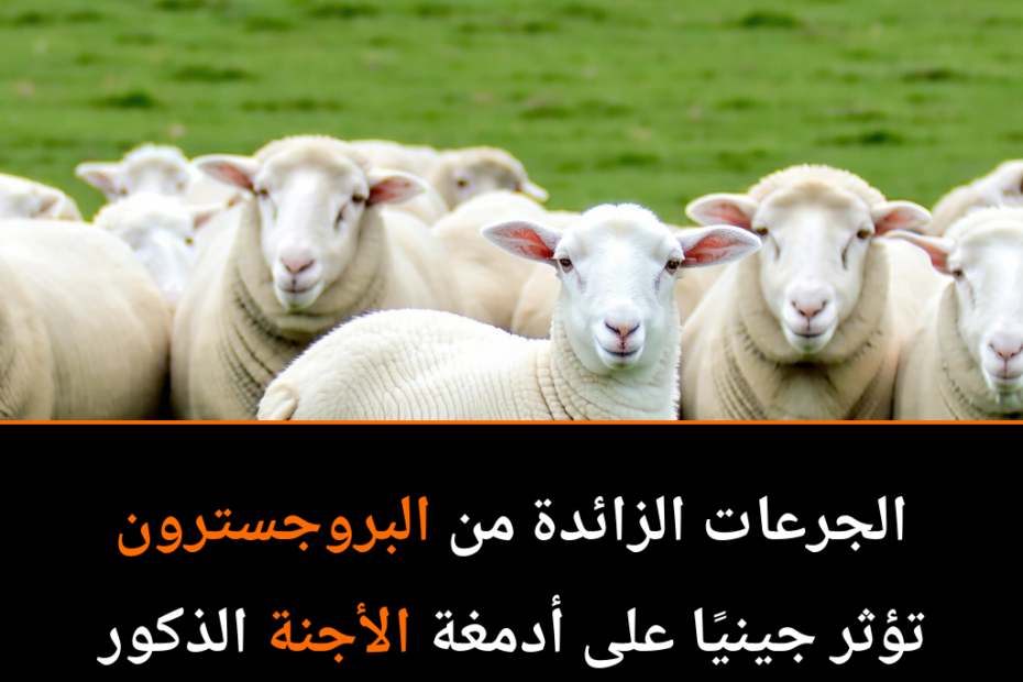كيف تؤثر الهرمونات على تطور الأجنة: دراسة تكشف عن تأثيرات مفاجئة للبروجسترون