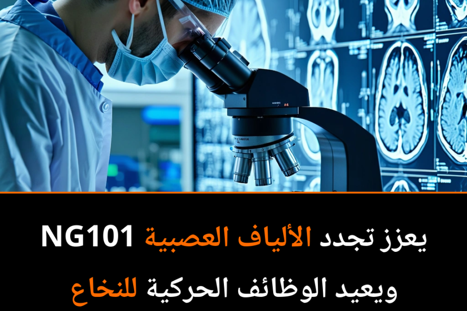 NG101: الأمل الجديد في علاج إصابات النخاع الشوكي