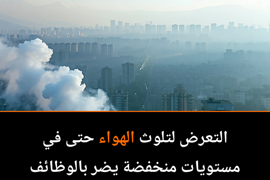 هل تلوث الهواء يدمر أدمغتنا بصمت؟