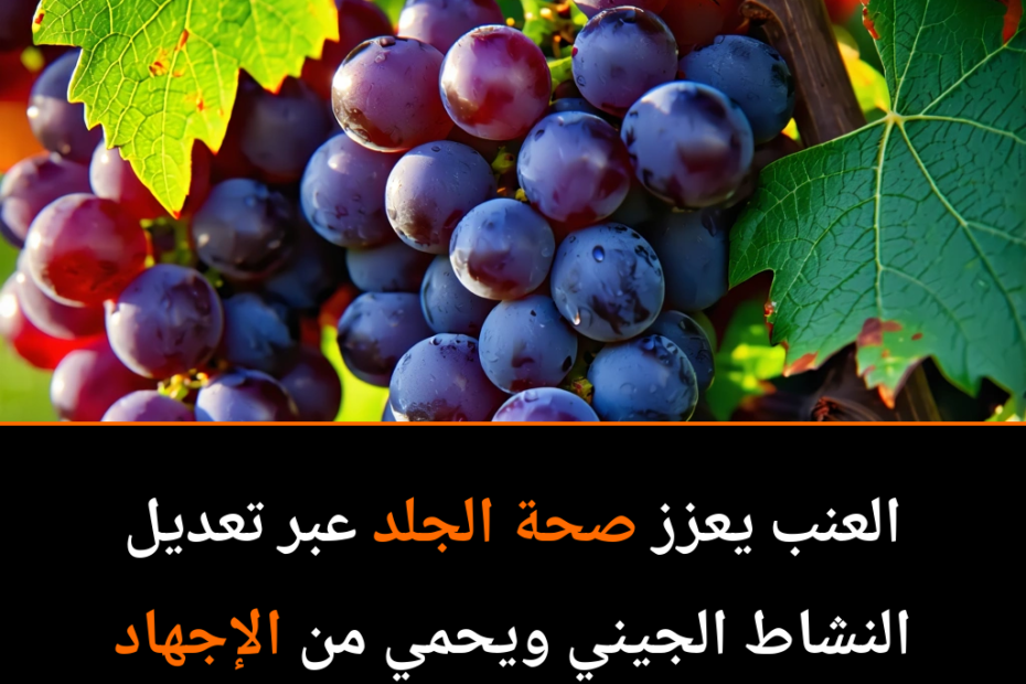 كيف يمكن للعنب أن يعزز دفاعات بشرتك؟