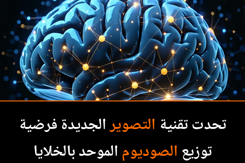 هل الخلايا النجمية تخفي أسرارًا جديدة لصحة الدماغ؟