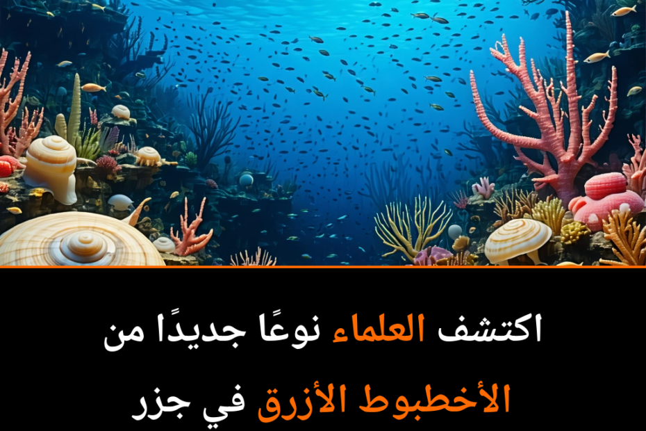 اكتشاف مذهل في أعماق البحار: أخطبوط أزرق جديد يفتح أبواباً لعالم مجهول