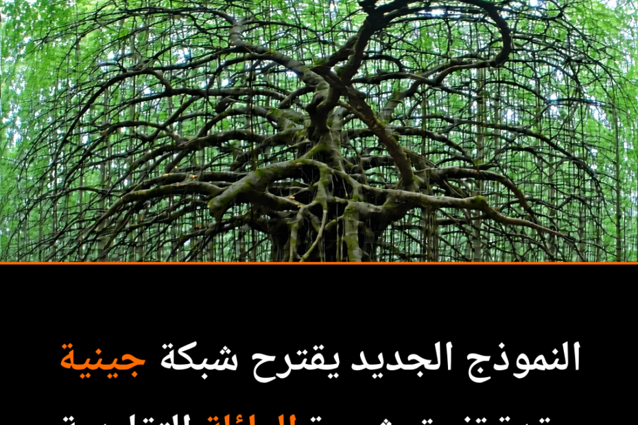 شبكة الحياة: إعادة رسم شجرة العائلة البشرية من إفريقيا
