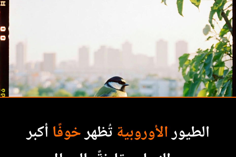 لماذا تخاف الطيور الأوروبية من النساء أكثر من الرجال؟